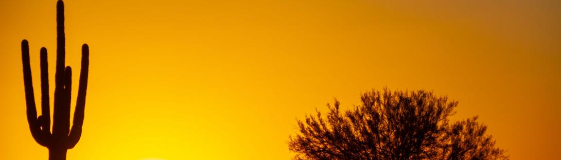 Desert-Sunset