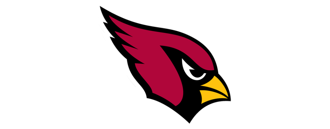 Cardinals vs. New Orleans Saints  State of Arizona State Employees  Charitable Campaign